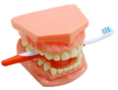 专家介绍义齿清洗的步骤--广州德伦口腔