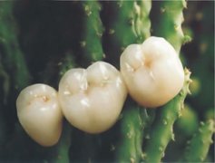 ʲô¹޸