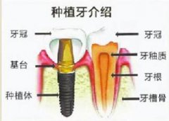 ҽԺ