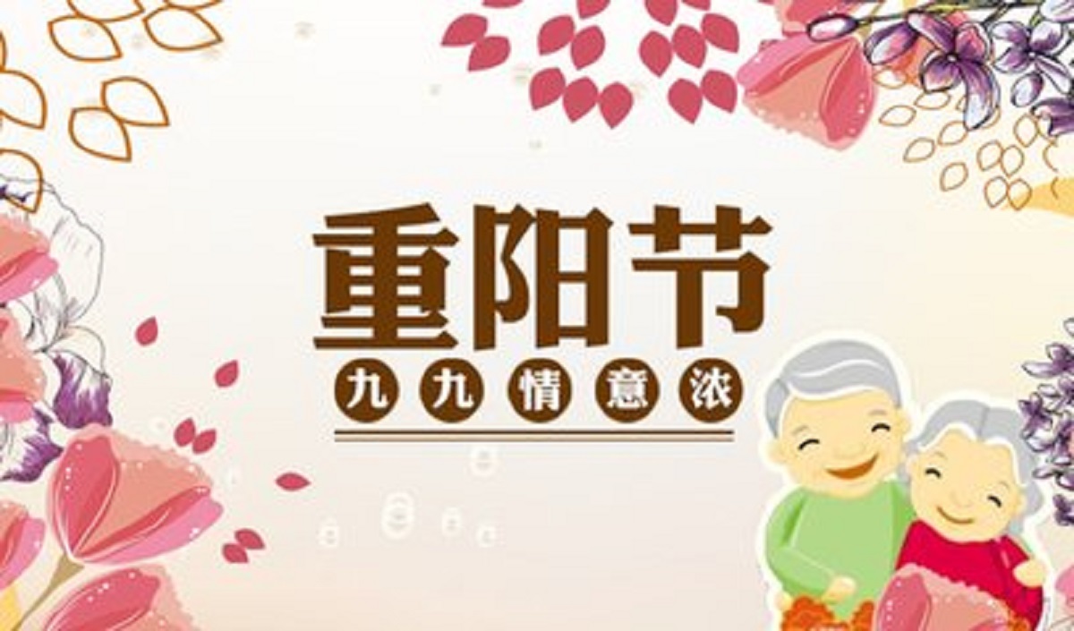 11人口号_11人足球位置介绍图解