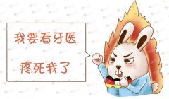 ǿ |ߡΣ˴Ȩ棡